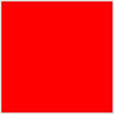 Portable Flexible Stand